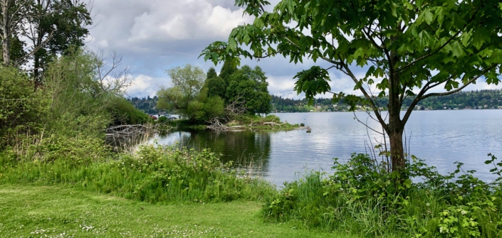 Looking north on a placid day. The S. Adams Street boat launch is on the other side of the point. Photo David Berger.