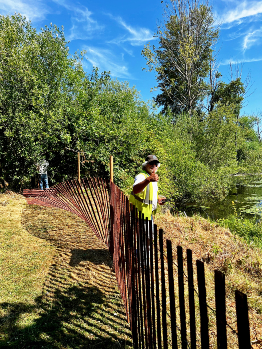 Seattle Parks and Recreation installeing fencing to protect the Sanctuary shoreline